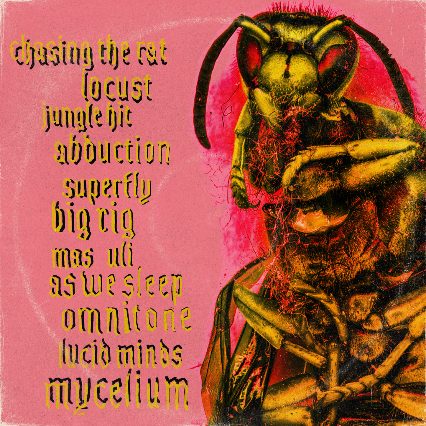 CHASING THE RAT LTD VINYL PINK