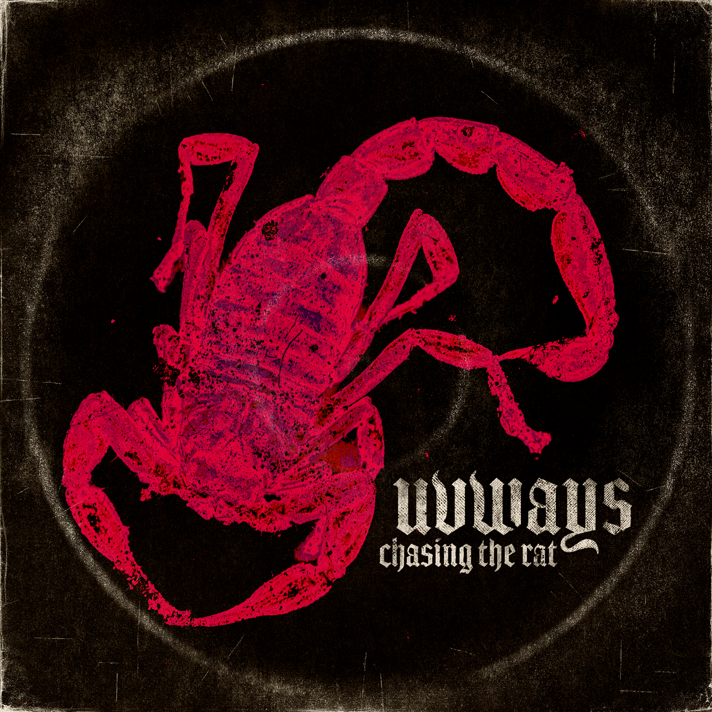 CHASING THE RAT LTD VINYL SCORPION