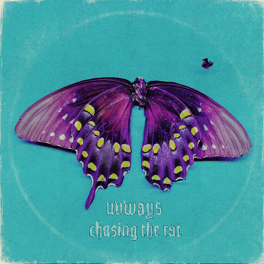 CHASING THE RAT LTD VINYL BUTTERFLY