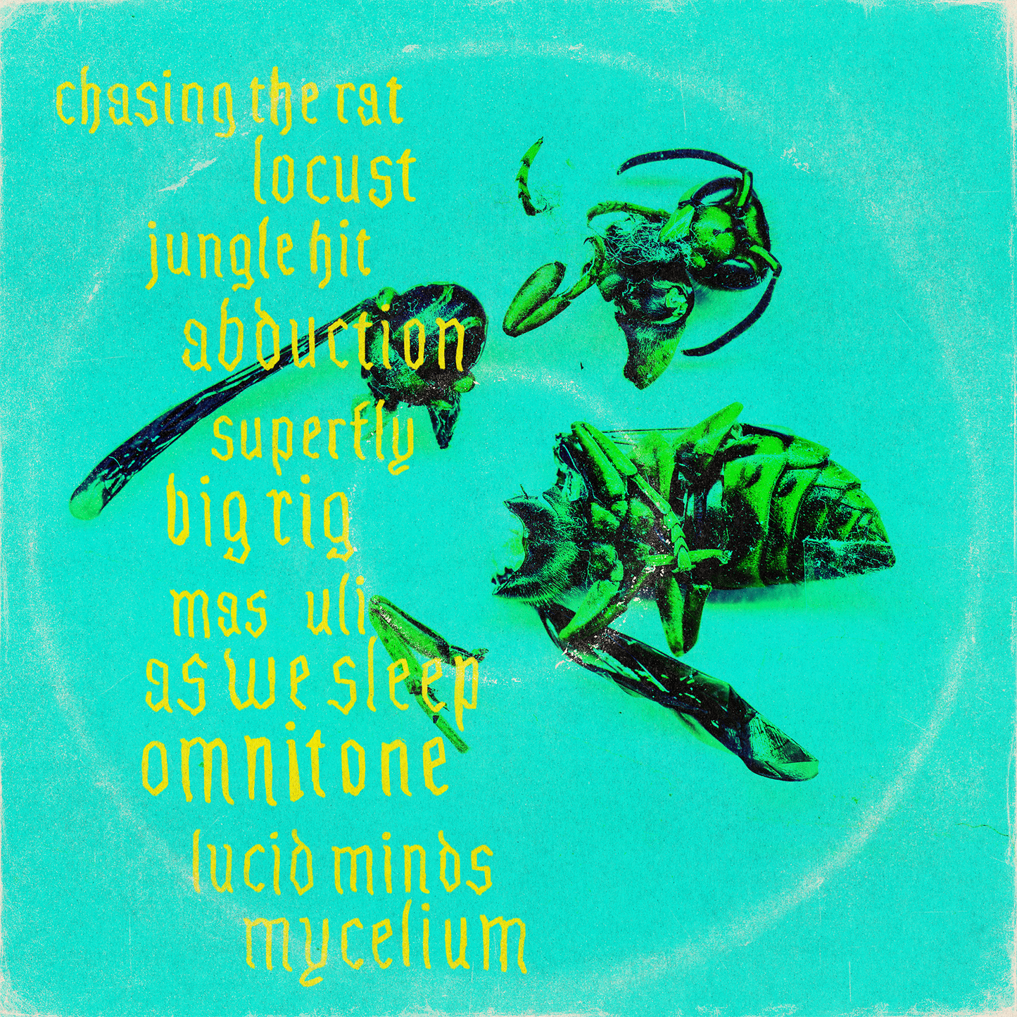 CHASING THE RAT LTD VINYL GREEN