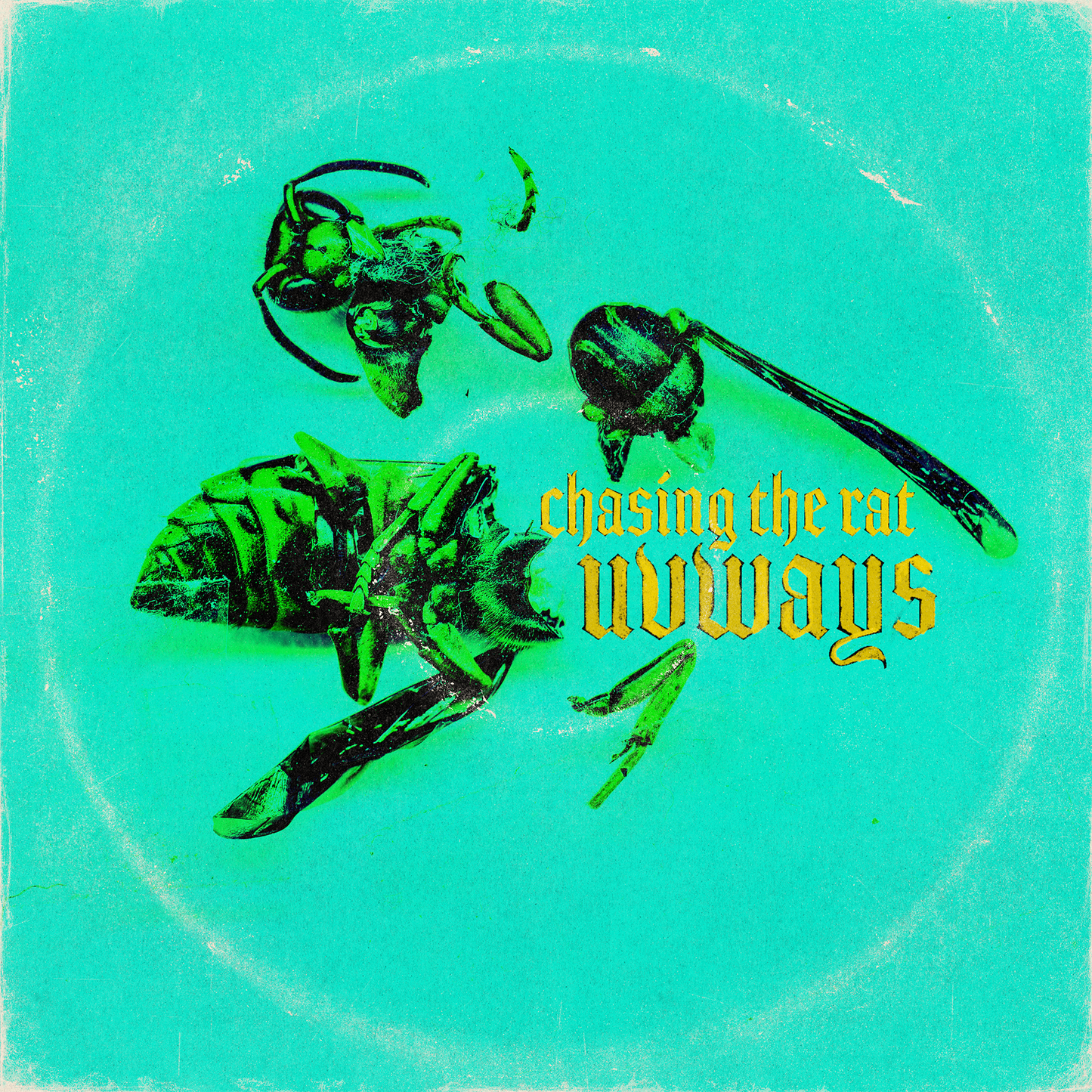 CHASING THE RAT LTD VINYL GREEN