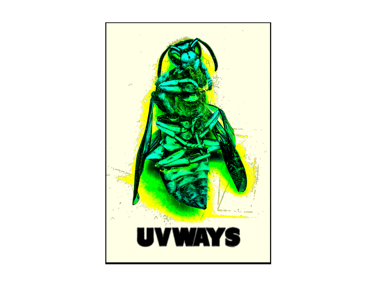 YELLOW JACKET POSTER