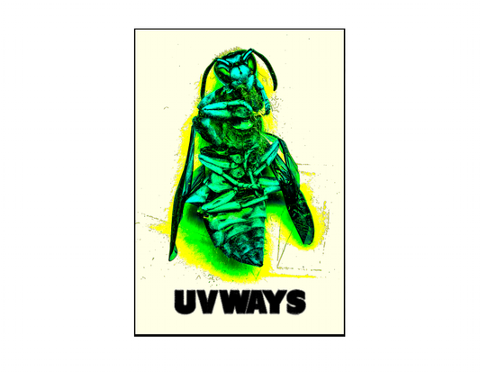 YELLOW JACKET POSTER