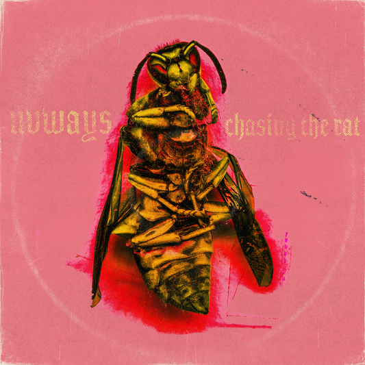 CHASING THE RAT LTD VINYL PINK