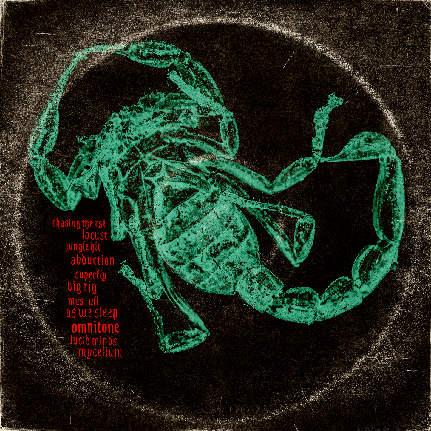 CHASING THE RAT LTD VINYL SCORPION