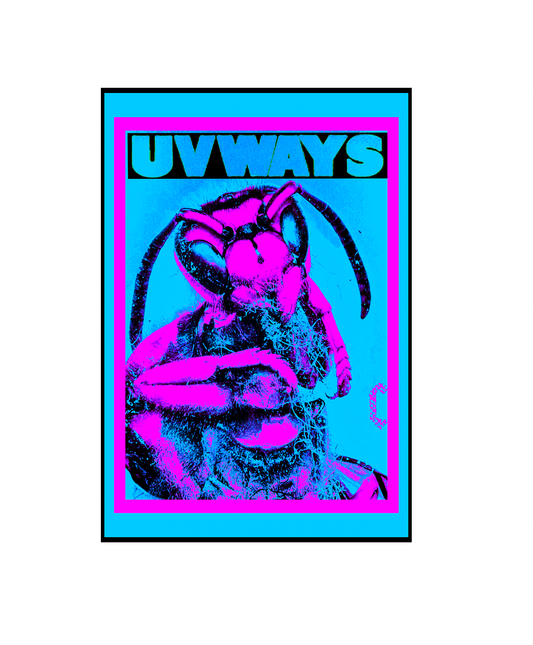 PEST POSTER